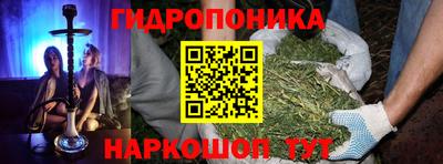 винт Гусь-Хрустальный