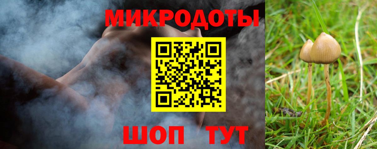 Псилоцибиновые грибы мицелий Азов